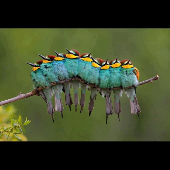 🌎same day or next day shipping - Picture 3 of 16